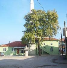 Savaştepe Söğütcük Köyü Resimleri 1