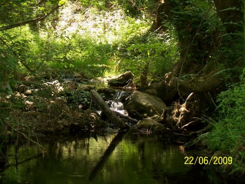 Savaştepe Söğütlügözle Köyü Resimleri 5