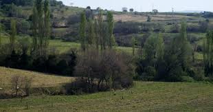 Savaştepe Tavşancık Köyü Resimleri 5