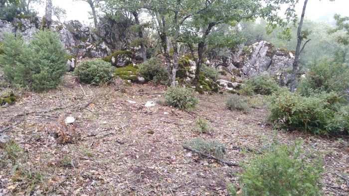 Savaştepe Yazören Köyü Resimleri 2