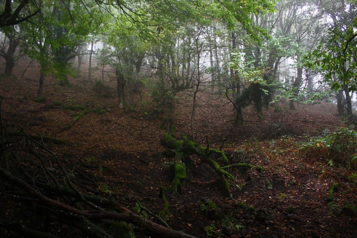 Savaştepe Yazören Köyü Resimleri 4