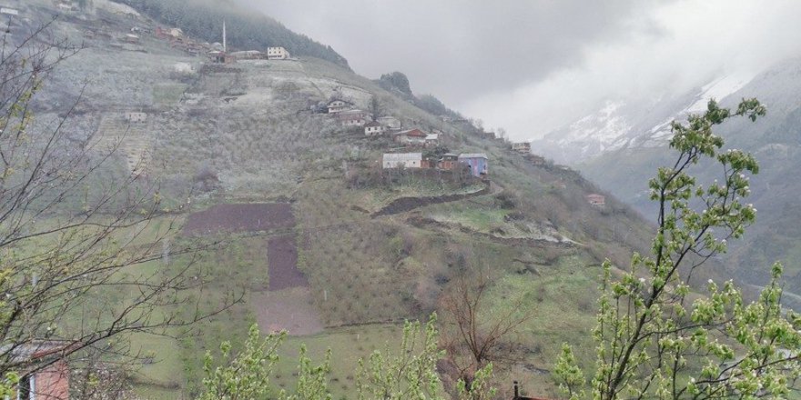 Araklı Aytaş Köyü Resimleri