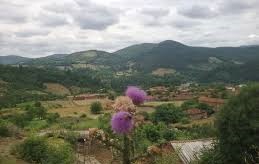 Biga Ahmetler Köyü Resimleri 3