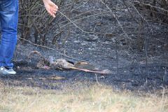 Biga Akpınar Köyü resimleri 2