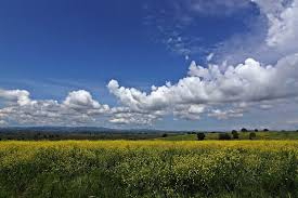 Biga  Akyaprak  Köyü Resimleri 4