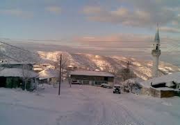 Biga Arabaalan Köyöü Resimleri 12