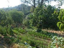 Biga Arabakonağı Köyü Resimleri 2