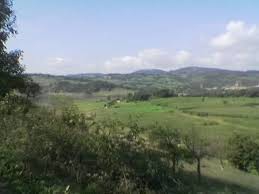 Biga Arabakonağı Köyü Resimleri 6