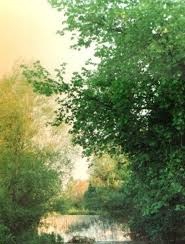 Biga Aşağıdemirci Köyü Resimleri 11