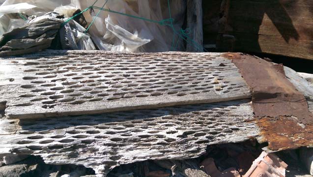 Samsun Havza Taşkaracaören Köyü Resimleri 16