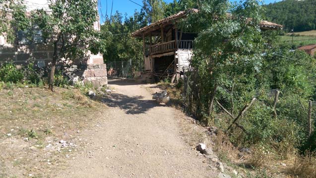 Samsun Havza Taşkaracaören Köyü Resimleri 17