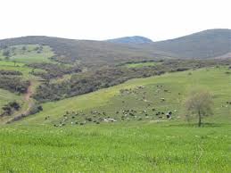 Biga Ayıtdere Köyü  Resimleri 10