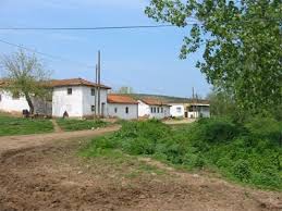 Biga Ayıtdere Köyü  Resimleri 8