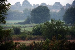 Biga  Bakacak Köyü Resimleri 1