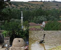 Biga  Bakacak Köyü Resimleri 7