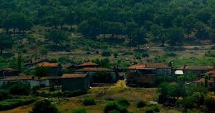 Biga Bakacaklıçiftliği Köyü Resimleri 13