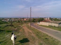 Biga Bozlar  Köyü Resimleri 5