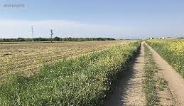 Biga Bozlar  Köyü Resimleri 7