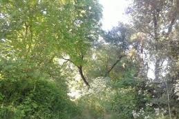 Biga Cihadiye Köyü Resimleri 10