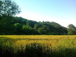 Biga Cihadiye Köyü Resimleri 2