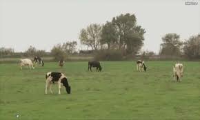 Biga Cihadiye Köyü Resimleri 5