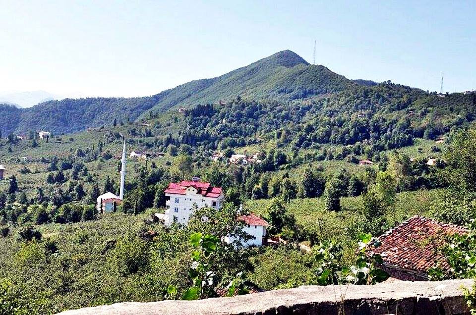 Araklı Ayvadere Köyü Resimleri 11
