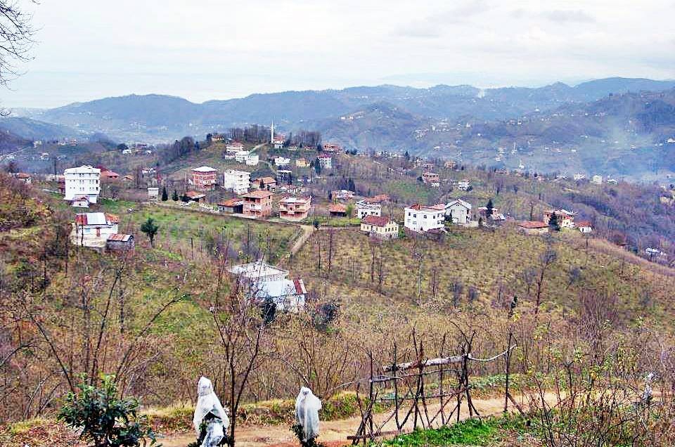 Araklı Ayvadere Köyü Resimleri 13