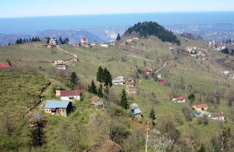 Araklı Ayvadere Köyü Resimleri 4