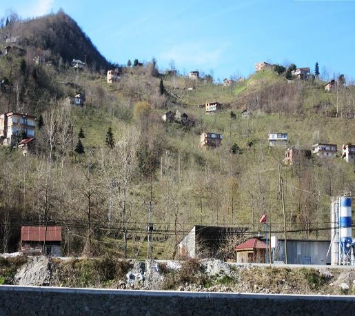 Araklı Ayvadere Köyü Resimleri 5