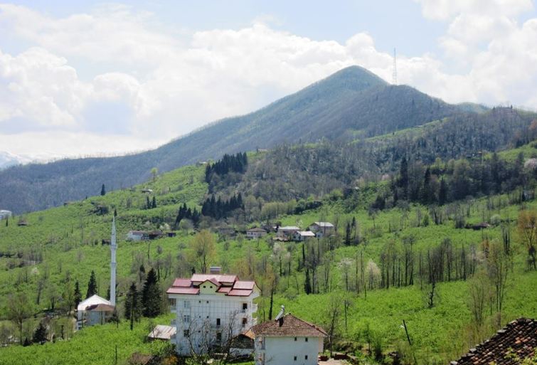 Araklı Ayvadere Köyü Resimleri 7