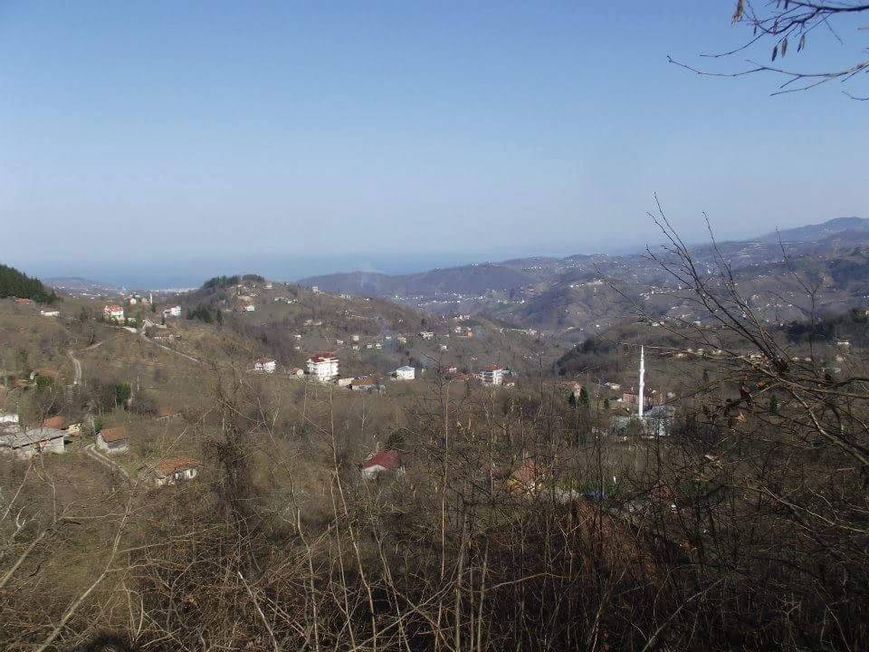 Araklı Ayvadere Köyü Resimleri 8