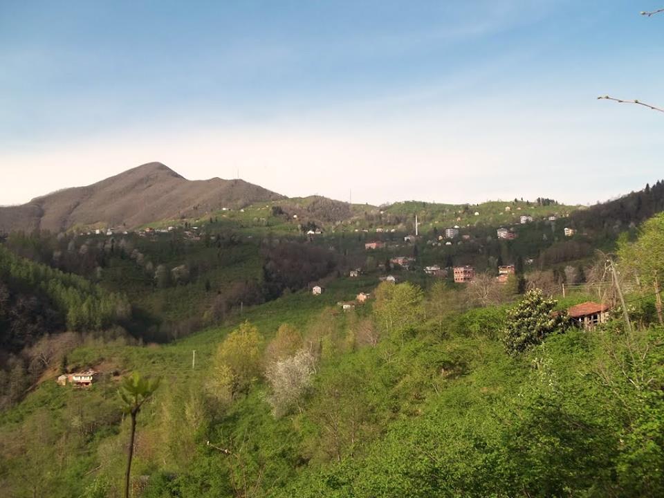 Araklı Ayvadere Köyü Resimleri 9