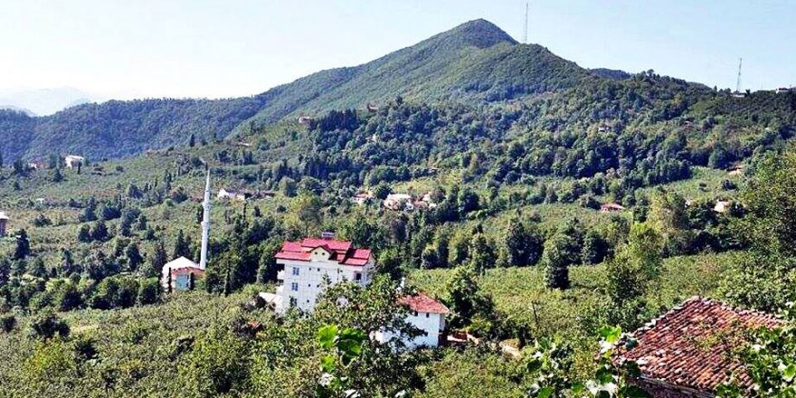 Araklı Ayvadere Köyü Resimleri