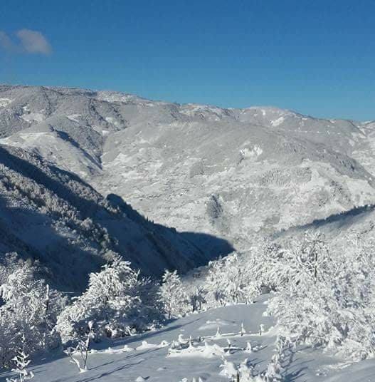 Bulancak Güzelyurt Köyü Resimleri 1