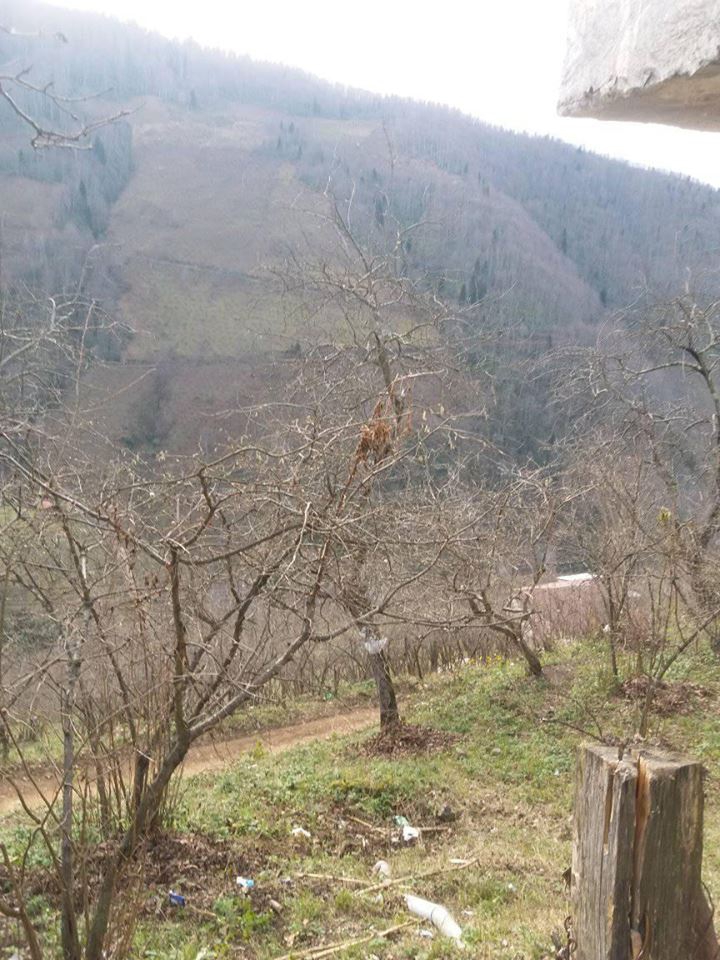 Bulancak Güzelyurt Köyü Resimleri 3