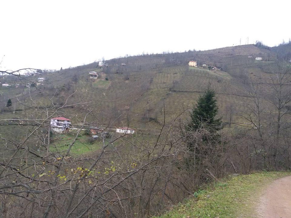 Bulancak Güzelyurt Köyü Resimleri 4