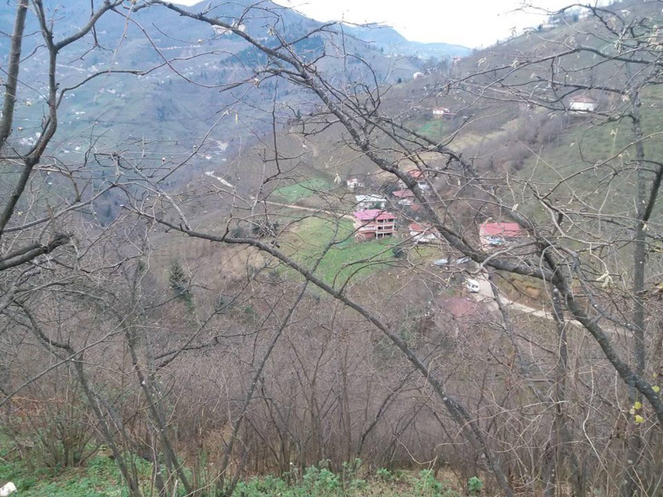 Bulancak Güzelyurt Köyü Resimleri 5