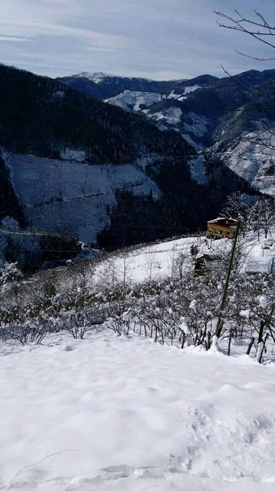 Bulancak Güzelyurt Köyü Resimleri 6