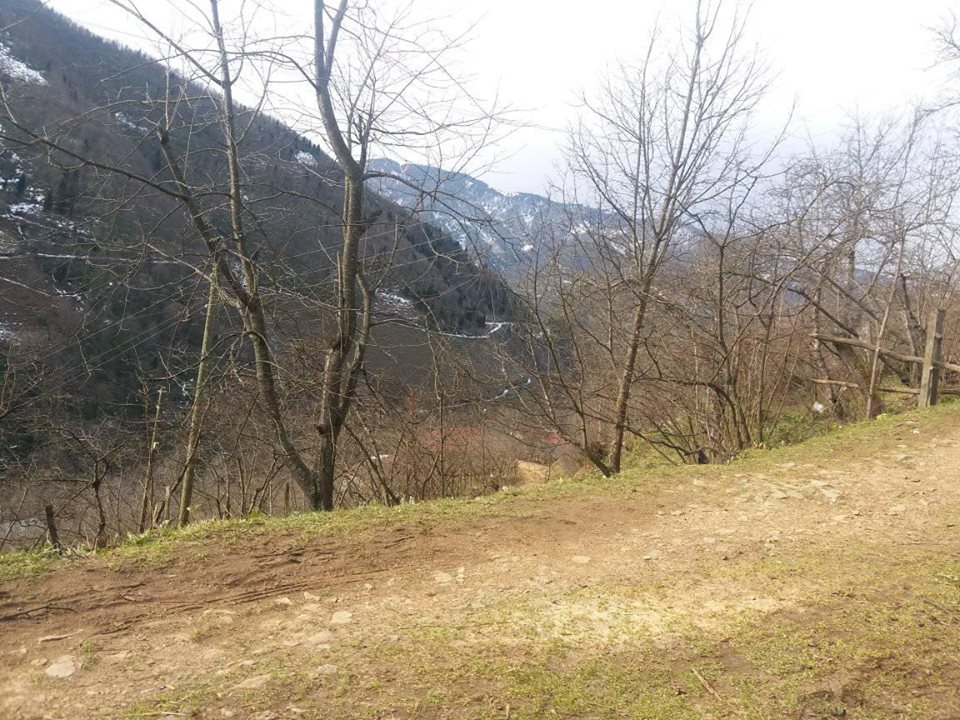 Bulancak Güzelyurt Köyü Resimleri 8