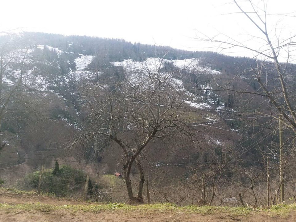 Bulancak Güzelyurt Köyü Resimleri 9