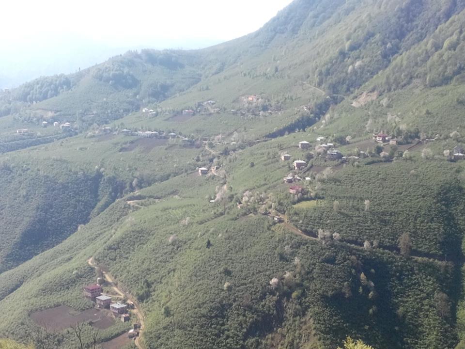 Bulancak Karaağaç Köyü Resimleri 2