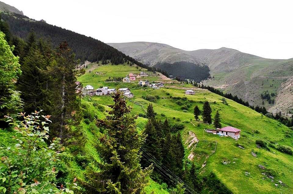 Araklı Bahçecik Köyü Resimleri 10