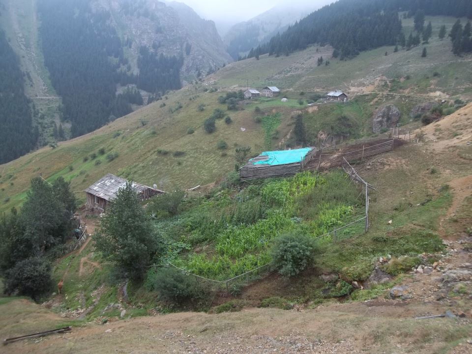 Araklı Bahçecik Köyü Resimleri 13