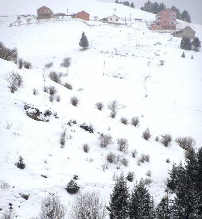 Araklı Bahçecik Köyü Resimleri 3