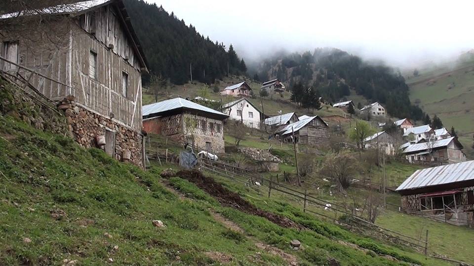 Araklı Bahçecik Köyü Resimleri 9