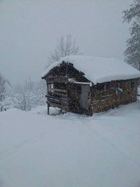 Bulancak  Kayhan Köyü Resimleri 2