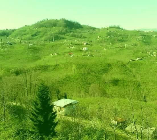 Bulancak  Kayhan Köyü Resimleri 4