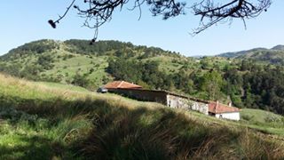 Sındırgı Aktaş Köyü Resimleri 2