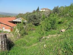 Sındırgı Alacaatlı Köyü Resimleri 4