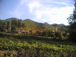 Sındırgı Alacaatlı Köyü Resimleri 7